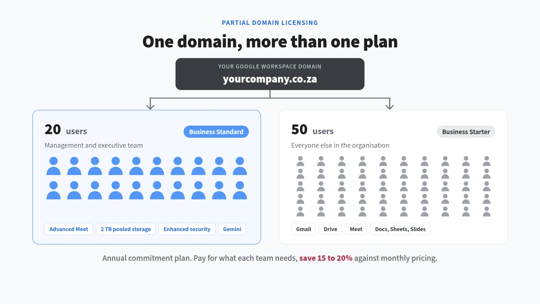 One Google Workspace domain split into 20 Business Standard users and 50 Business Starter users